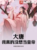 大唐我真没想当国舅短剧在线观看