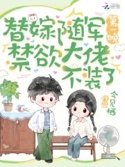 替嫁将军全文