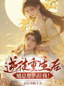 放开让为师来