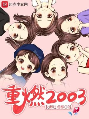 重燃2003无错版