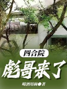 四合院之来了老弟