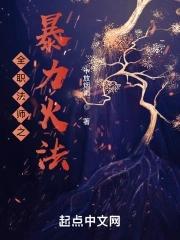 全职法师火系技能名称