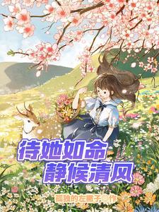 我的傻子
