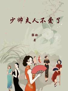 少帅 夫人要离婚