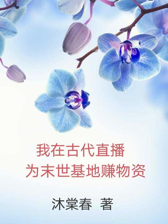 我在古代直播教书发家作者翊小九