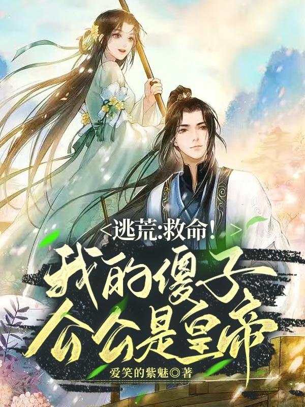 我的傻老公电视剧