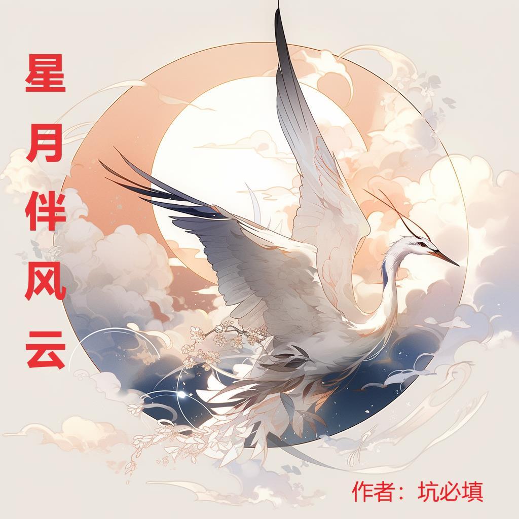 星月风云的意思