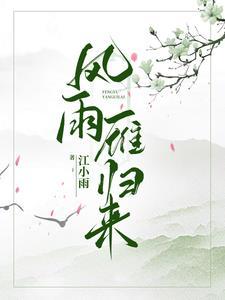 风雨燕归来5