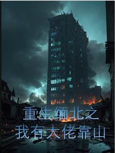 重生之缅甸远征军悍将