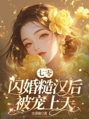 闪婚糙汉军长