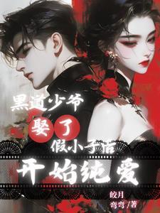 沈少宠妻日常的书名