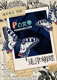 迷津蝴蝶笔趣阁免费阅读