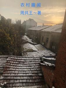 农村趣事的段落