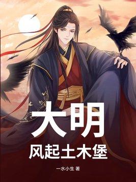 风起明末