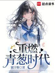 重燃青葱时代TXT免费阅读