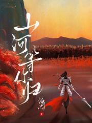 山河等你归书评
